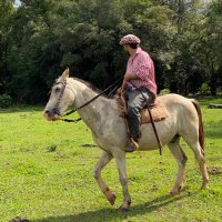 Gustavo Michelon (@gustimichelon22) 's Twitter Profile Photo Gustavo Michelon (@gustimichelon22) 's Twitter Profile Photo