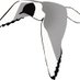Delaware Valley Ornithological Club (@dvocbirds) Twitter profile photo Delaware Valley Ornithological Club (@dvocbirds) Twitter profile photo