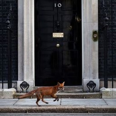 Penny65031277's profile picture. 