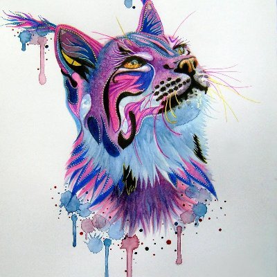 LynxiJane's profile picture. 