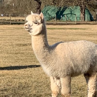 wartinica's profile picture. Scientist in training | world traveler | Happy overthinker | good problem solver, better problem creator