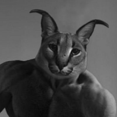 voidAgen's profile picture. یک توسعه دهنده در خاورمیانه