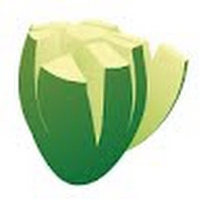 CamiloS33055687's profile picture. 