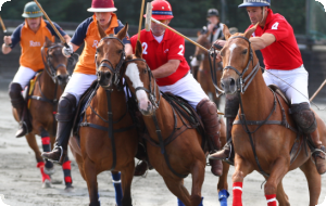 IrishPoloClub's profile picture. The objectives of the Federation for the coming years is to co-ordinate the activities of Irish Polo Clubs to ensure smooth running of tournaments.