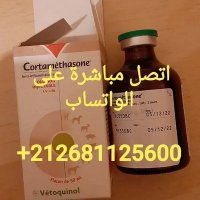 علاجات بيطرية اصلية للهجن (@dexa_original) 's Twitter Profile