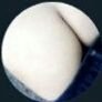 سالب للخوال القريات (@qlbyshal) 's Twitter Profile