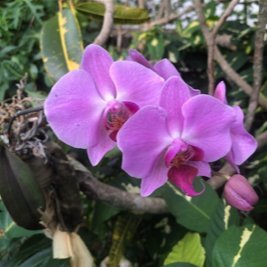 301madeira's profile picture. Focused on preserving our lifestyle