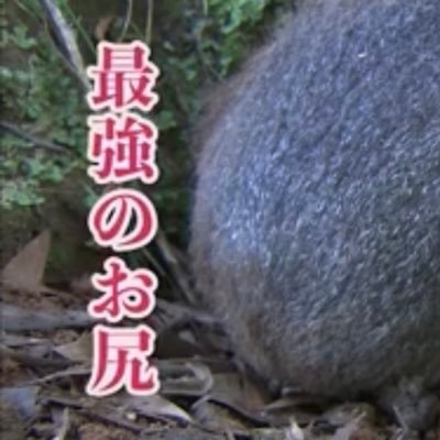 _0sur's profile picture. 倫理チューニング