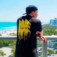 HARDWELL BRAZIL (@hardwellisback) 's Twitter Profile