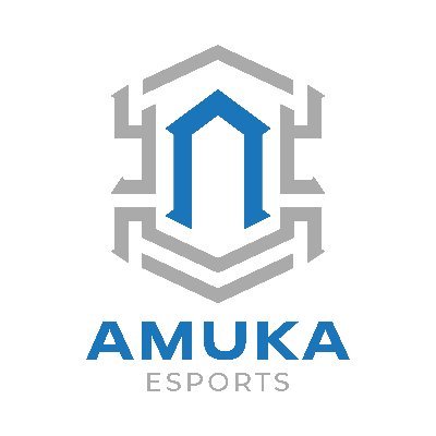 AmukaEsports Profile Picture