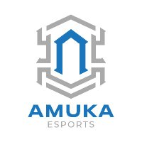 AmukaEsports(@AmukaEsports) 's Twitter Profile Photo