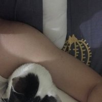 Xia Tian (@4eversummer35) 's Twitter Profile
