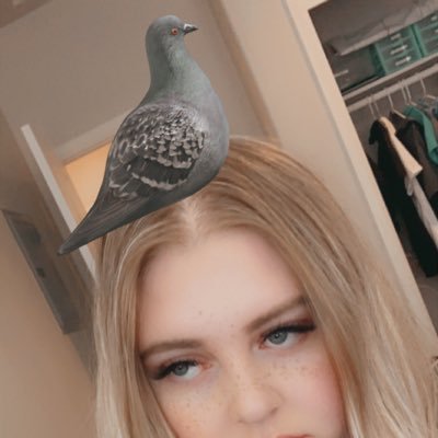 HannahHud's profile picture. blue flower, red thorns