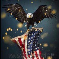 abdulkarim🇺🇸🇾🇪🇺🇸 (@abwsalmsalm8) 's Twitter Profile
