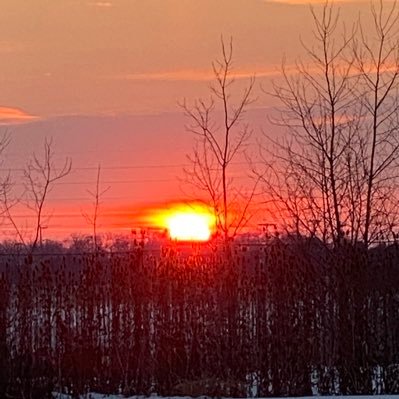 arobinette8's profile picture. 🌤 good vibes only 🌤 i like charts 📈📉