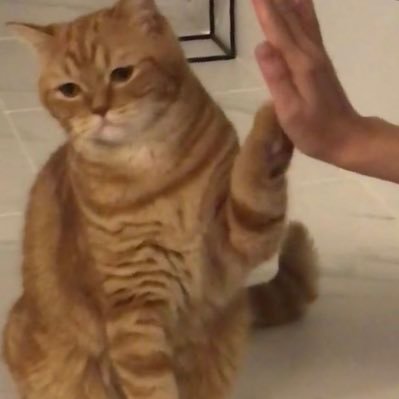 shootin9star4's profile picture. 