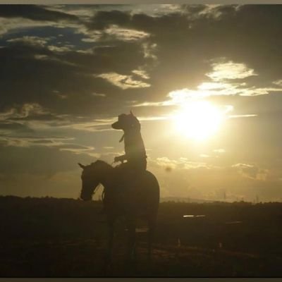 Hombre de fe y convicciones, ingeniero, emprendedor , amante de los caballos, político por naturaleza y amante de mi mexico?🏆🕴️