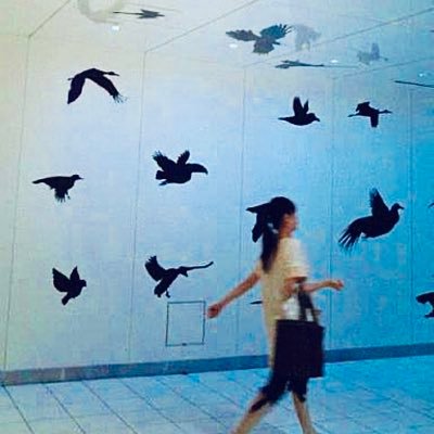 NaoNakanishi523's profile picture. 