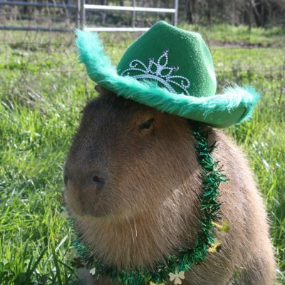 arthelon_'s profile picture. 