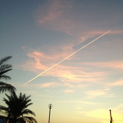 uh2993's profile picture. 