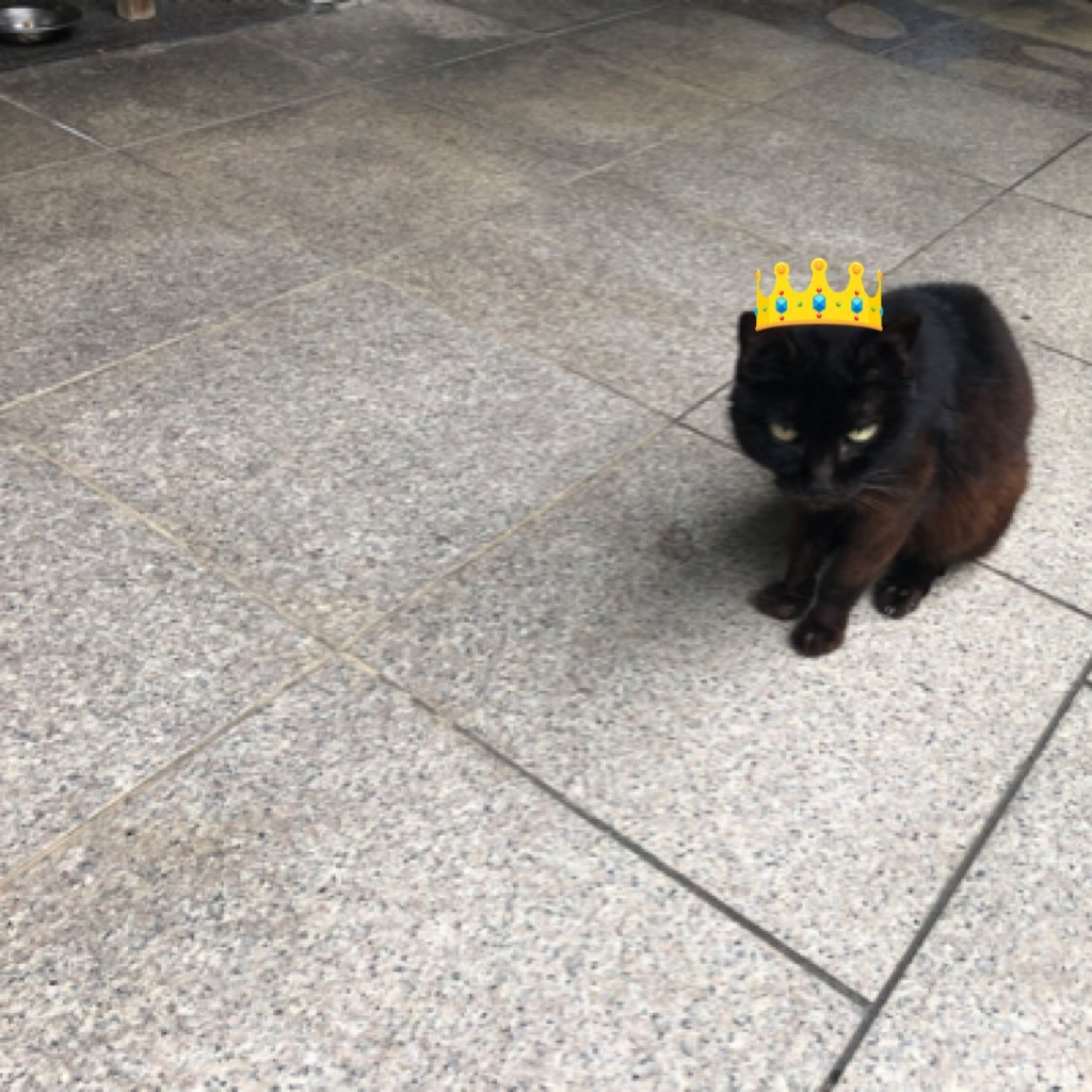 hih040830572's profile picture. 沖縄 20