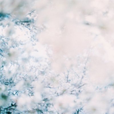 pooomyu's profile picture. I like to take pictures. Japan 🇯🇵🗼 / ´95