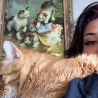 whitney (@whitneyhansen_) 's Twitter Profile