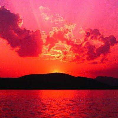 dariollano4's profile picture. 