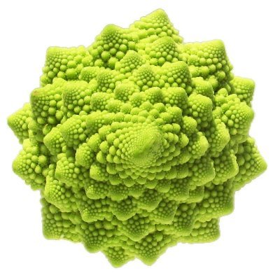 broccoleeflower's profile picture. eat veggie, buy nft

BroccoliFlower#3474