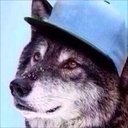 Thomas Wallace - @tomas_wallace13 - Twitter