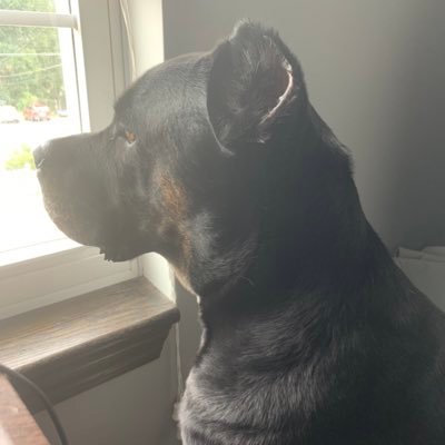 r_bauman's profile picture. 