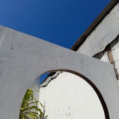 Totovictory's profile picture. Nobody