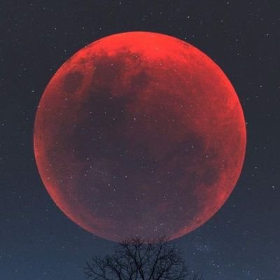 pepitaswed's profile picture. #Fotos #Totona #Cameltoe #Cameltoes #Papo #Bigpapo #Cameltoegirl  #Cameltoeday #Cameltoepapo #PepitasWed 
💕🔞