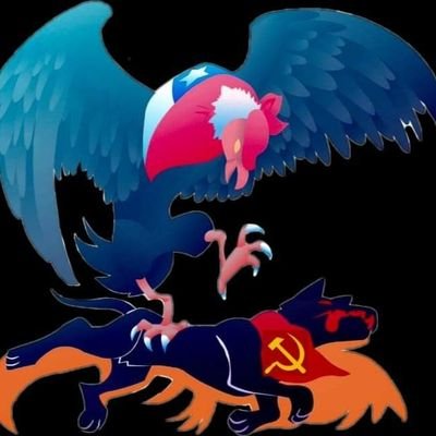 cryzymaniackk's profile picture. 