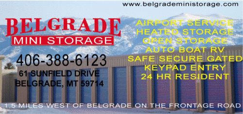 BelgradeMini's profile picture. 