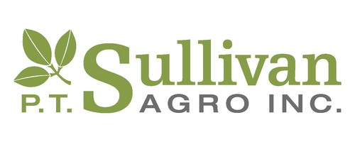 Jean Sullivan Profile