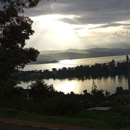 Karame15024891's profile picture. social influence