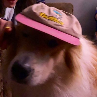 _gjorgensen_'s profile picture. Running your space hoe (they/them)