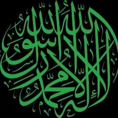 rizwanahmedch1's profile picture. 