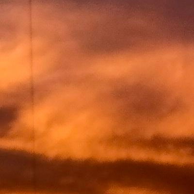 MateoDo29502773's profile picture. user