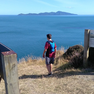 Josh88560153's profile picture. 