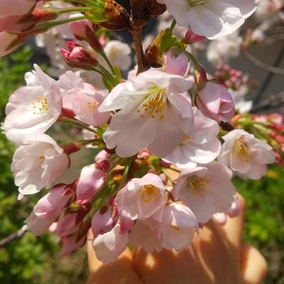 よろしくお願いします😊

鍵は気分