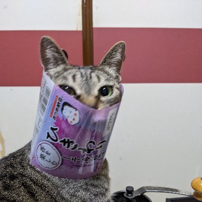激闘ニャン舞さんのプロフィール画像