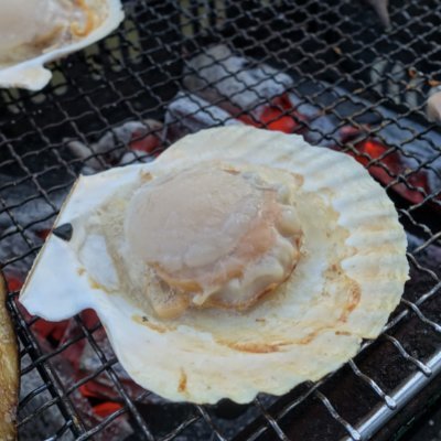 23456mori's profile picture. 