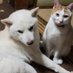 tosh (@nozsgpzfo8hvzq6) Twitter profile photo tosh (@nozsgpzfo8hvzq6) Twitter profile photo