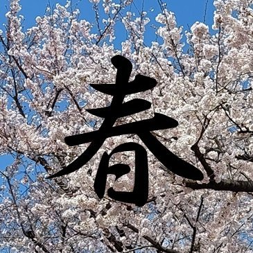 春(はる) (@SpringisinTokyo) / X 春(はる) (@SpringisinTokyo) / X