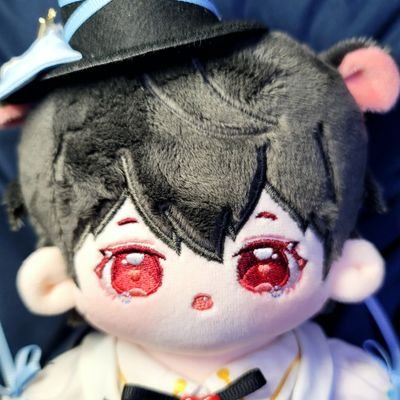 성인여성 /사진, 알티 위주