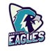 Barcelona Eagles (@BCNEagles) Twitter profile photo