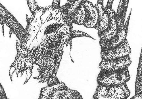 Shiftry_Reel's profile picture. 