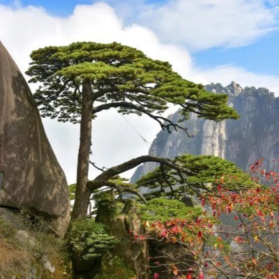 Go Great Huangshan Mountainさんのプロフィール画像